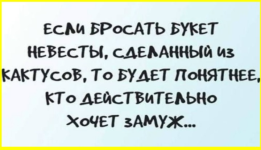 image (4770).png