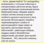 image (4901).png