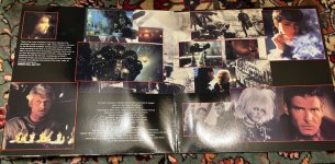 IMG_7711.jpeg