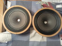IMG_20260616_003249_898.jpg