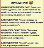 чем мог - тем помог.png