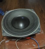 photostudio_1781963968159.jpg