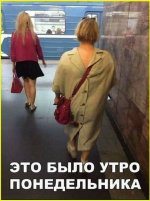 collage (105).jpg