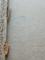 IMG_20260619_181229.jpg