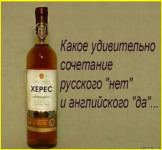 image (2179).png