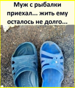 image (2449).png
