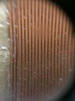 photo_2021-08-02_14-17-58.jpg photo_2021-08-02_14-17-58.jpg