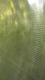 WhatsApp Image 2021-08-02 at 17.57.56.jpg