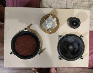 photostudio_1784402884853.jpg