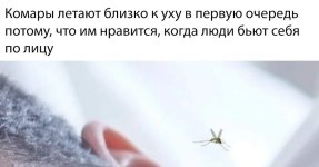 4f8c92e0d8904155a8214369c711e994.jpg