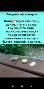 5870f8045865429ab231005fb23fb3d3.jpg