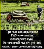 c21dcca0e0e645b1aa5b0ed3576135af.png