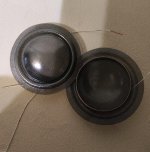 photostudio_1784976271826.jpg