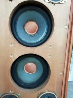 IMG_20260728_134423.jpg