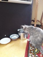 20260802_172704.jpg