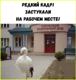 f3f55605bb5f4ee79a5e9f0498f14edf.png