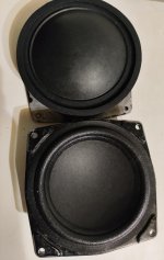 photostudio_1779038380299.jpg