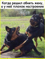 b828c83f6a2e4b5f91e42871e77a098b.png