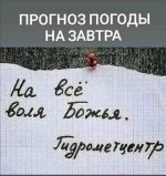 d204acdc8434407b802ccd07033ef453.jpg
