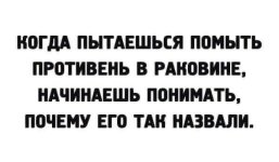 1940c80001eb47b08e2f79c75f719e50.jpg