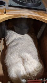 WhatsApp Image 2021-09-07 at 12.43.57.jpg