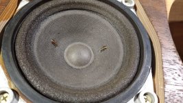 WhatsApp Image 2021-09-07 at 15.07.03.jpg