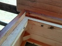 IMG_20210908_131529.jpg IMG_20210908_131529.jpg