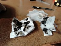 IMG_20210103_114522.jpg IMG_20210103_114522.jpg