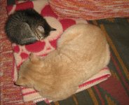 IMG_0052_.jpg