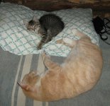 IMG_0057_.jpg