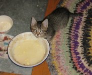 IMG_0064_.jpg