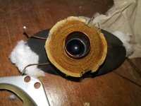 IMG_20210925_120958.jpg