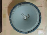 10 gdk 1 (2).jpg