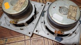 WhatsApp Image 2021-10-27 at 05.01.53.jpg