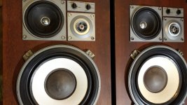 WhatsApp Image 2021-10-27 at 09.03.04.jpg