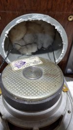 WhatsApp Image 2021-10-30 at 00.04.57.jpg