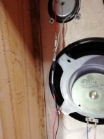 IMG_20211104_182854.jpg IMG_20211104_182854.jpg