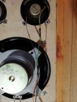 IMG_20211104_182857.jpg IMG_20211104_182857.jpg