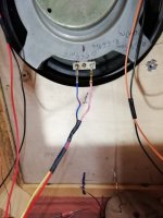 IMG_20211104_182859.jpg IMG_20211104_182859.jpg