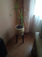 IMG_20211201_100140.jpg