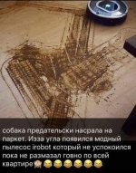 SAVE_20211208_234004.jpg