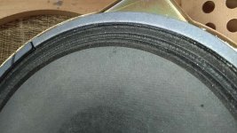 IMG_20211215_115951.jpg