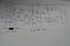 IMG_1383.jpg