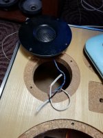 IMG_20220118_170737.jpg