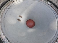 25gdn4 kinap ldsound.club (2).jpg