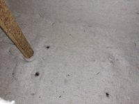 100as 022 box (7).jpg