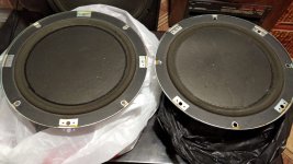 WhatsApp Image 2022-03-28 at 16.19.53.jpg