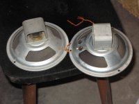 IMG_1930.JPG