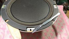 WhatsApp Image 2022-04-01 at 13.09.09.jpg