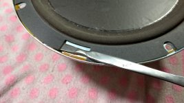 WhatsApp Image 2022-04-01 at 13.11.31.jpg